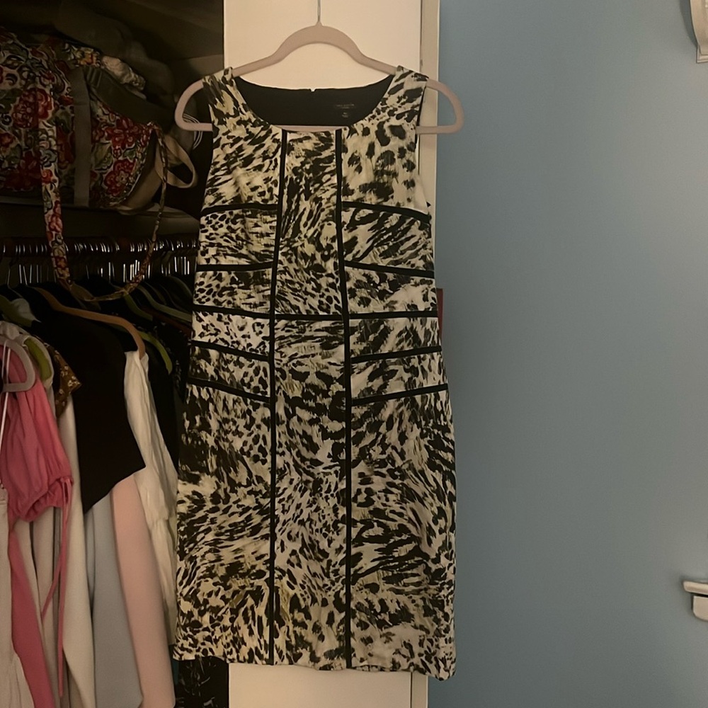 Ann Taylor Dress